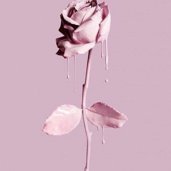 Meet your Posher, Aaliyah - Picture 1 of 1